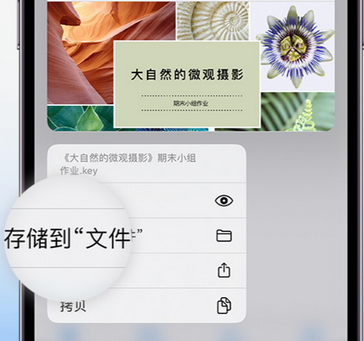 赤峰apple维修中心分享iPhone文件应用中存储和找到下载文件