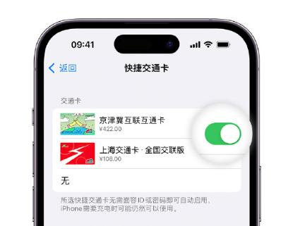 赤峰apple维修点分享iPhone上更换Apple Pay快捷交通卡手绘卡面 