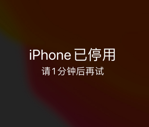 赤峰苹果手机维修分享:iPhone 显示“不可用”或“已停用”怎么办？还能保留数据吗？ 