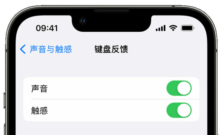 赤峰苹果手机维修分享iPhone 14触感键盘使用方法 