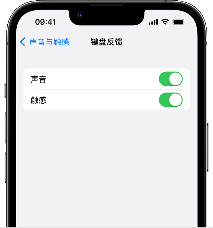 赤峰苹果14维修店分享如何在 iPhone 14 机型中使用触感键盘 