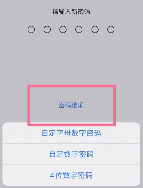 赤峰苹果14维修分享iPhone 14plus设置密码的方法 