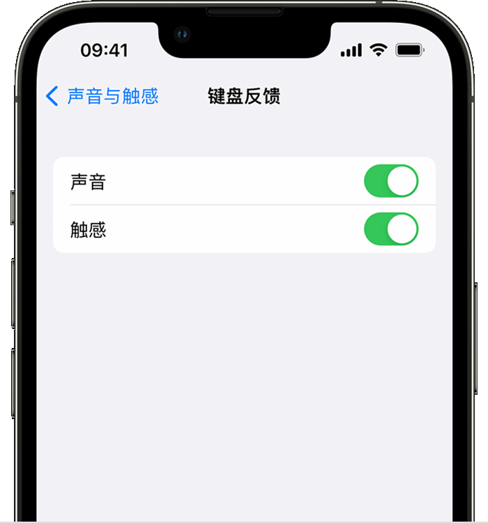 赤峰苹果14维修分享iPhone 14 系列机型如何开启键盘声音或触感反馈 