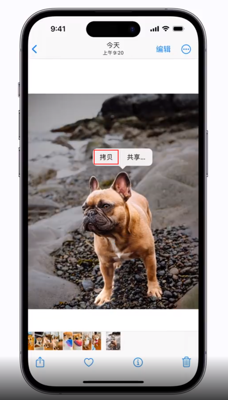 赤峰苹果手机维修分享 iOS 16 自带一键抠图功能 