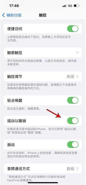 赤峰苹果手机维修分享iPhone手机如何设置摇一摇删除文字 