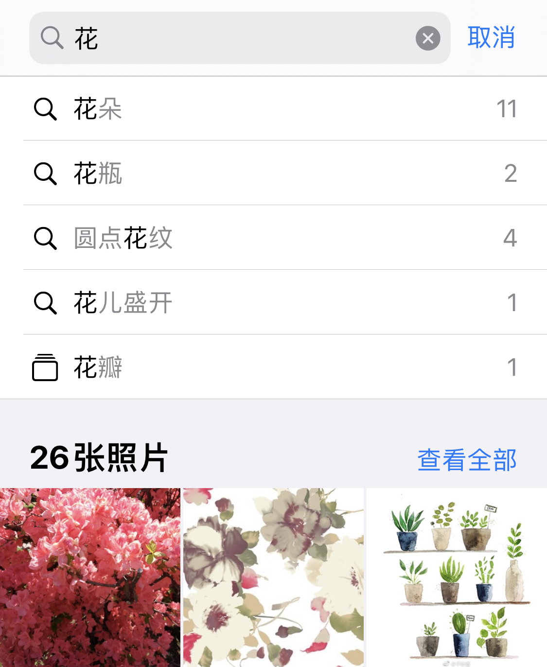 赤峰苹果手机维修分享iPhone 小技巧 