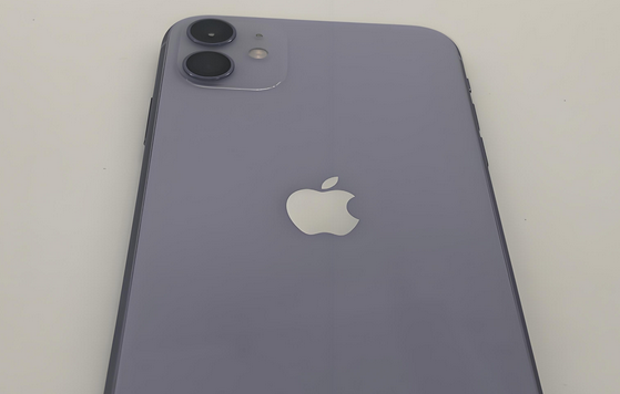 赤峰苹果11系统维修分享iPhone11手机系统崩溃无法开机如何解决 