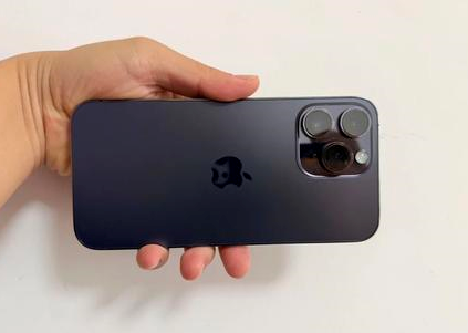 赤峰苹果维修点分享iPhone 14 Pro Max黑屏少见故障盘点 